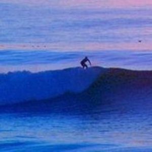 Meet your Posher, Tj